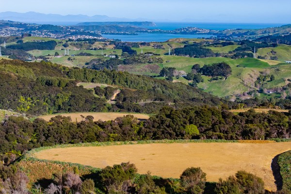 Lot 5 Building Platform