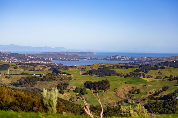 View West Ahoroa Estate